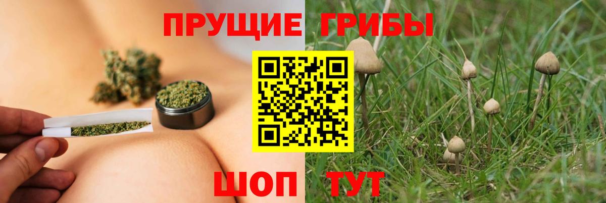 Галлюциногенные грибы ЛСД  Вход с VPN  продажа наркотиков  Нововоронеж  Псилоцибиновые грибы Cubensis 